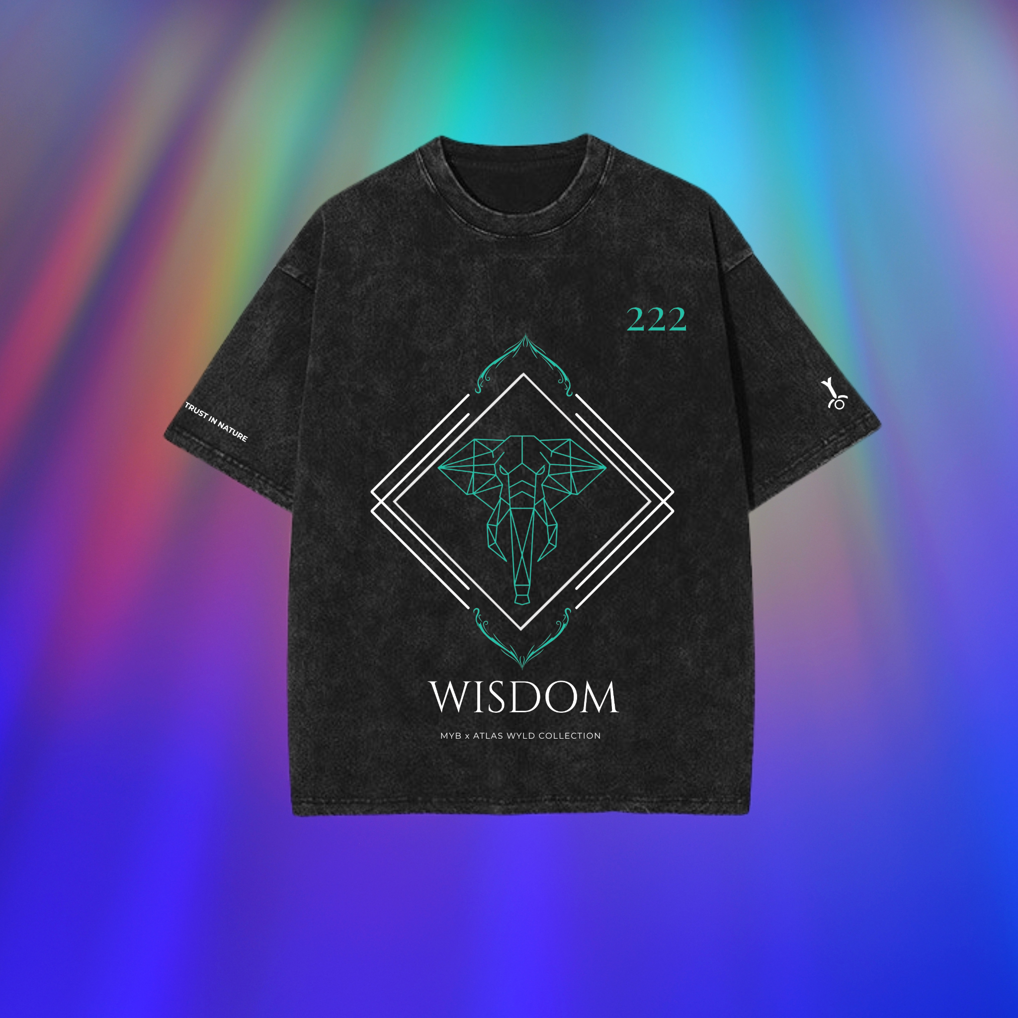 Signature "Elephant Spirit" Acid Wash Oversized Tee - Atlas Wyld Collection