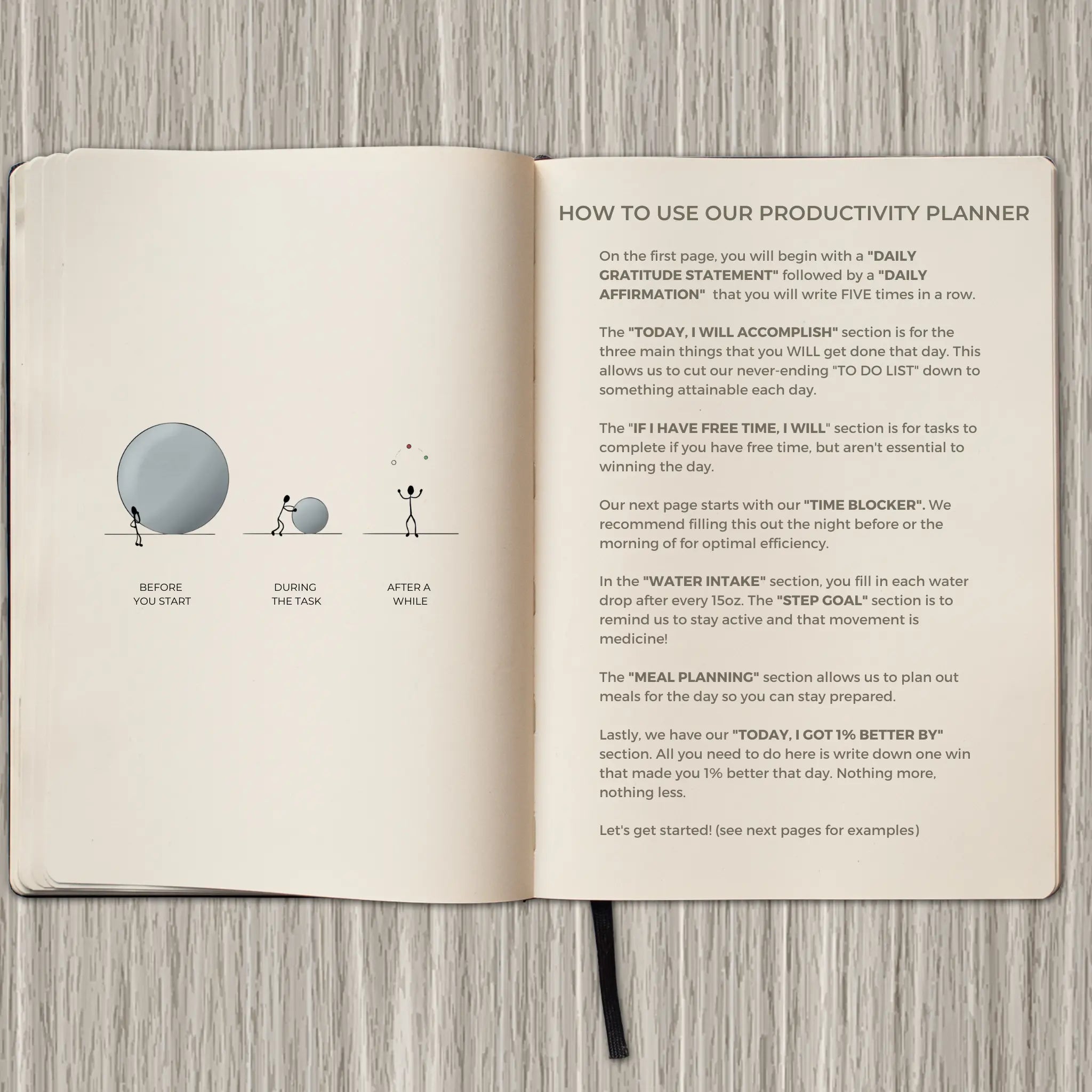 Productivity planner that lays the foundations of your health daily