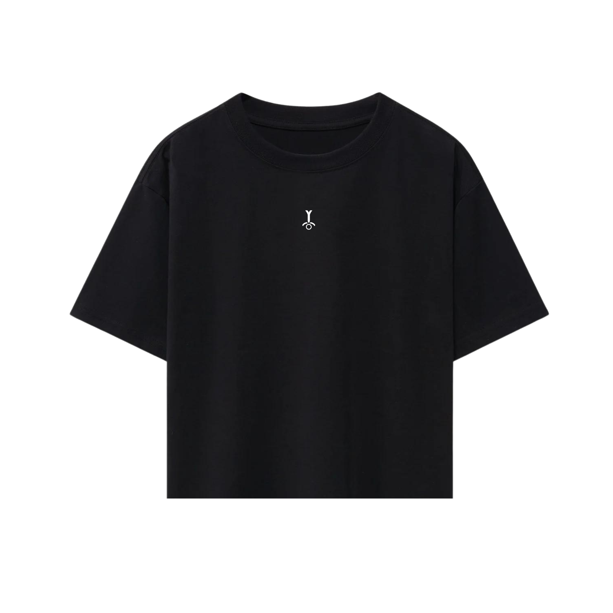 Frequency Oversized Crop Tee